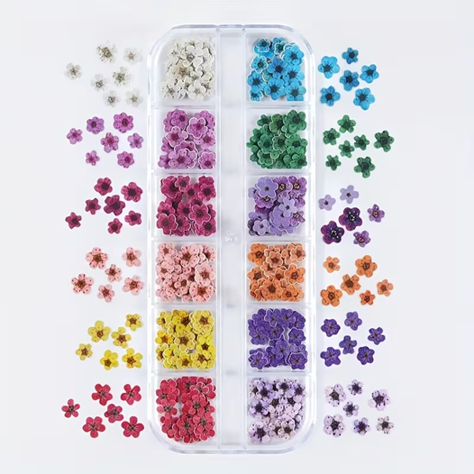 Coconoir Beauty - Nail Charms - Dried Paper Flowers - 12pk