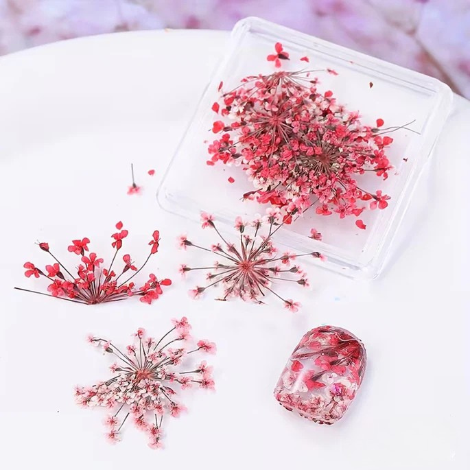 Coconoir Beauty - Nail Charms - Dried Flowers Red