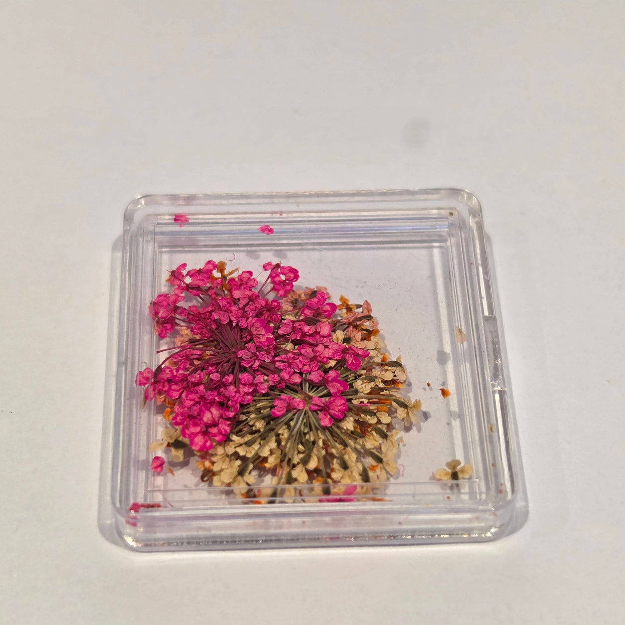 Coconoir Beauty - Nail Charms - Dried Flowers White, Orange & Pink