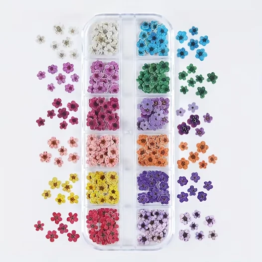 Coconoir Beauty - Nail Charms - Dried Paper Flowers - 12pk