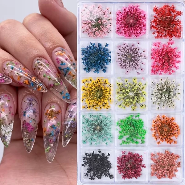 Coconoir Beauty - Nail Charms - Mixed Dried Flowers - 15pk