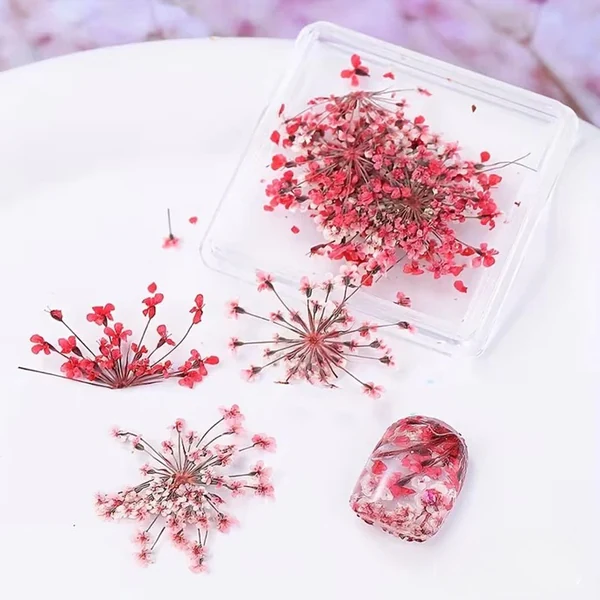 Coconoir Beauty - Nail Charms - Dried Flowers Red
