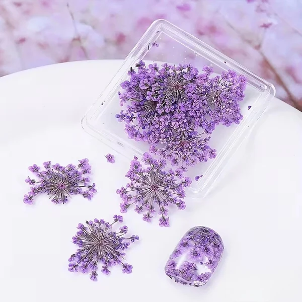 Coconoir Beauty - Nail Charms - Dried Flowers Purple
