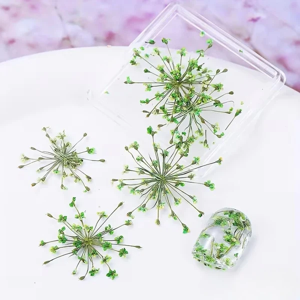 Coconoir Beauty - Nail Charms - Dried Flowers Green