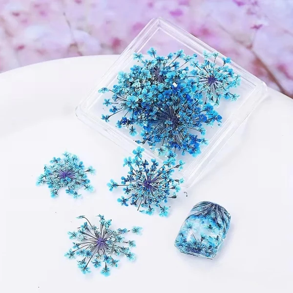Coconoir Beauty - Nail Charms - Dried Flowers Blue