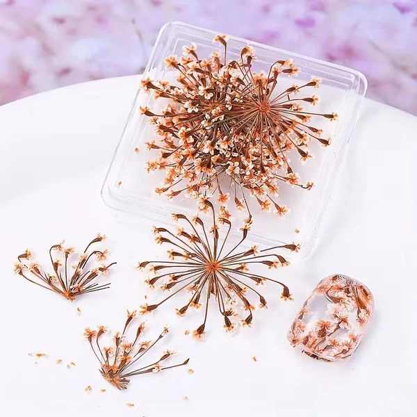 Coconoir Beauty - Nail Charms - Dried Flowers Orange