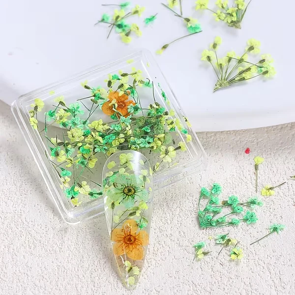 Coconoir Beauty - Nail Charms - Dried Flowers Green & Yellow