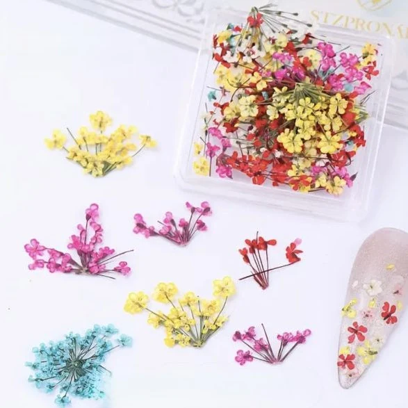 Coconoir Beauty - Nail Charms - Dried Flowers Blue, Red, Yellow & Pink