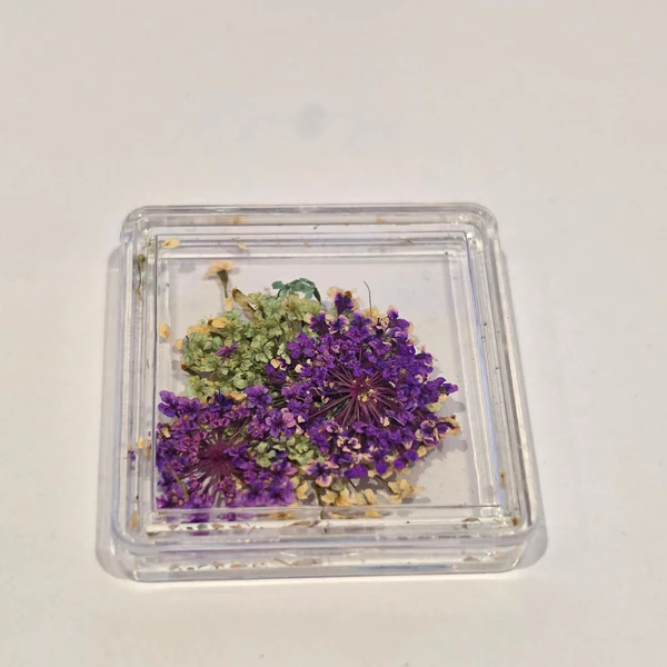Coconoir Beauty - Nail Charms - Dried Flowers Purple, White & Light Blue