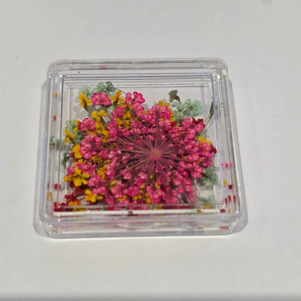 Coconoir Beauty - Nail Charms - Dried Flowers Light Blue, Red, Yellow & Pink