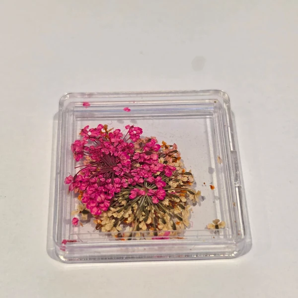Coconoir Beauty - Nail Charms - Dried Flowers White, Orange & Pink
