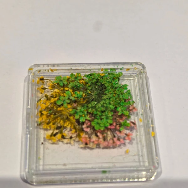 Coconoir Beauty - Nail Charms - Dried Flowers White, Yellow & Dark Green